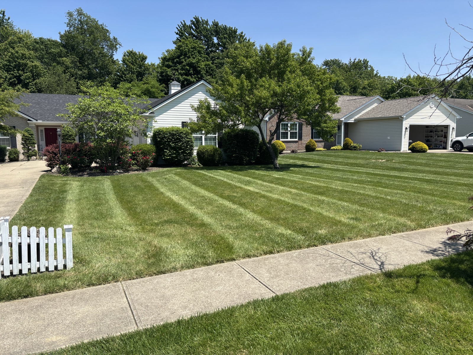 Residential neighborhood lawn with clean parallel mowing stripes